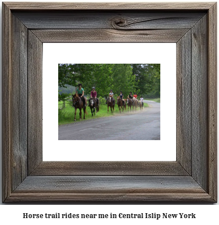 horse trail rides near me in Central Islip, New York